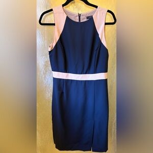 J.Crew Navy and Pink Sheath Dress size 6